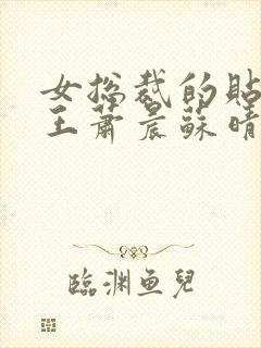 女总裁的贴身兵王萧晨苏晴