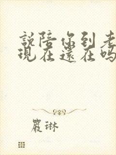 说陪你到老的人现在还在吗原唱