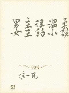 男主很温柔很爱女主的小说