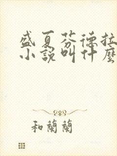 盛夏芬德拉原著小说叫什么名字