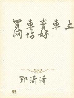 买车卖车上什么网站好