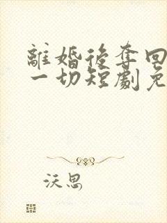 离婚后夺回我的一切短剧免费观看