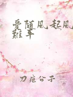 爱随风起风止意难平