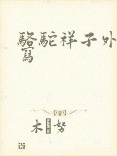 骆驼祥子外貌描写