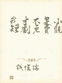 我才不是小可怜短剧免费观看全集