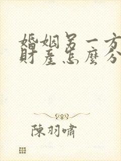 婚姻另一方出轨财产怎么分