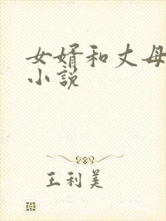 女婿和丈母娘的小说