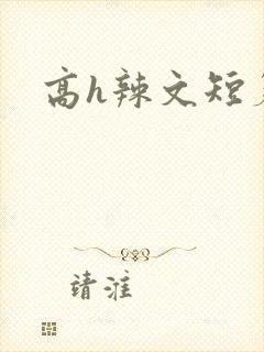高h辣文短篇