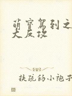 萌宝驾到之妈咪大反攻