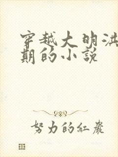 穿越大明洪武时期的小说