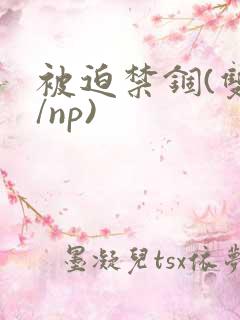 被迫禁锢(双性/np)