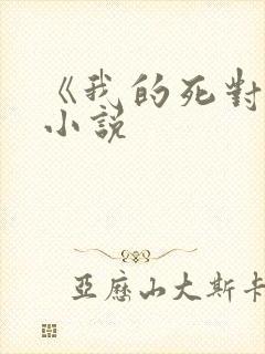 《我的死对头》小说