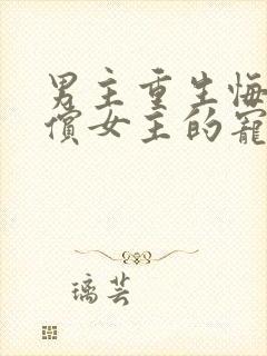 男主重生悔过补偿女主的宠文