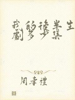 我的后半生电视剧多少集