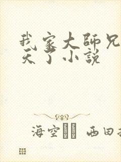 我家大师兄太逆天了小说