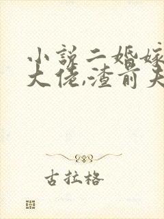 小说二婚嫁豪门大佬,渣前夫失了控更新