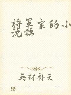 将军家的小娘子沈锦