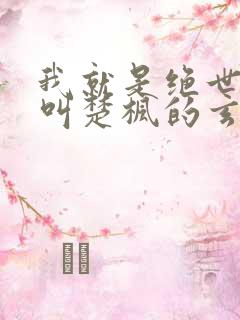 我就是绝世天才叫楚枫的玄幻小说