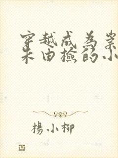 穿越成为崇祯帝朱由检的小说