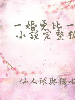 一婚更比一婚高 小说完整板
