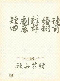 短剧离婚后我带四崽炸翻前夫家