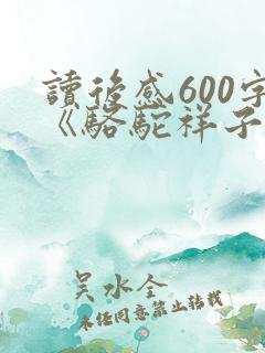读后感600字《骆驼祥子》