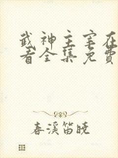 武神主宰在线观看全集免费播放高清