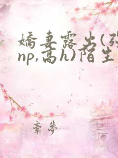 娇妻露出(强jnp,高h)陌生人