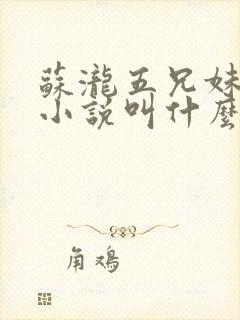 苏泷五兄妹原著小说叫什么