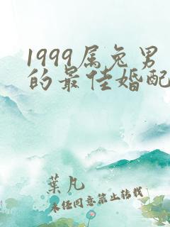 1999属兔男的最佳婚配属相