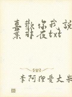 喜欢你我说了算叶非夜txt