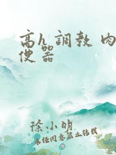 高h 调教 肉便器