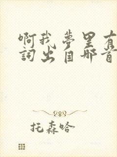 啊我梦里有你歌词出自哪首歌