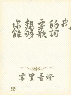 你想要的我却不能够歌词