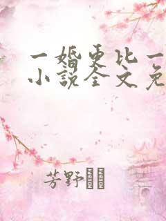 一婚更比一婚高小说全文免费