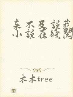 来不及说我爱你小说在线阅读