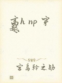 高h np 穿越