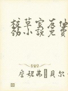 校草室友他不对劲小说免费