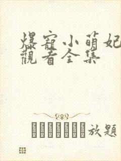 爆宠小萌妃免费观看全集