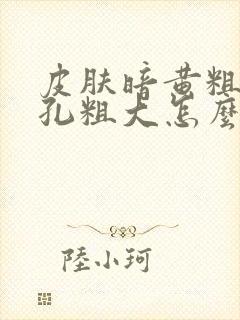 皮肤暗黄粗糙毛孔粗大怎么办