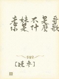 老妹不是哥不爱你是什么歌