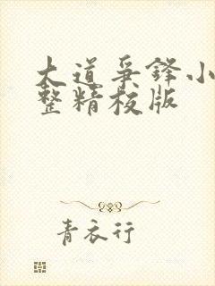 大道争锋小说完整精校版