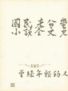 国民老公带回家小说全文免费阅读