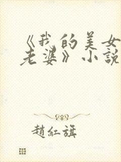 《我的美女总裁老婆》小说