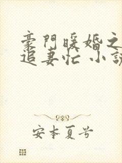 豪门暖婚之四爷追妻忙 小说