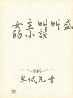 女主叫叫盛安宁的小说