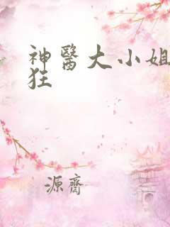 神医大小姐叶轻狂