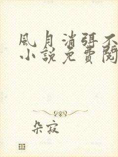 风月消弭不忆君小说免费阅读