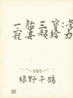 一胎三宝:爹地宠妻超给力