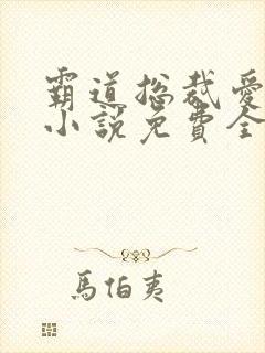 霸道总裁爱上我小说免费全文